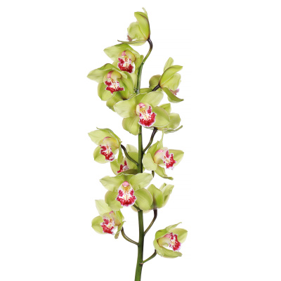 Орхидея зеленая 80 см
