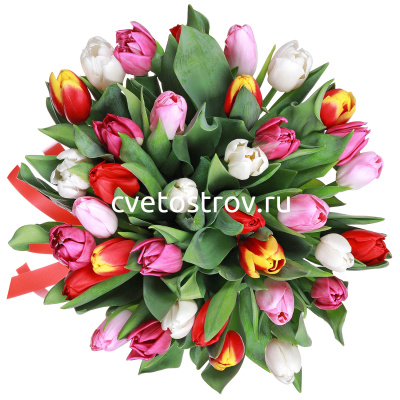 Букет из 35 тюльпанов микс