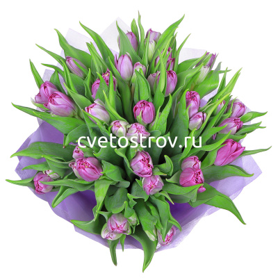 Букет из 15 тюльпанов "Принцесса"