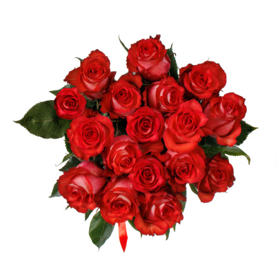 Розы " Игуана " 17 штук 40 см