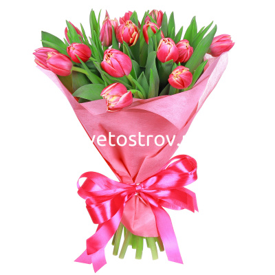 Букет из 15 тюльпанов "Колумбус"