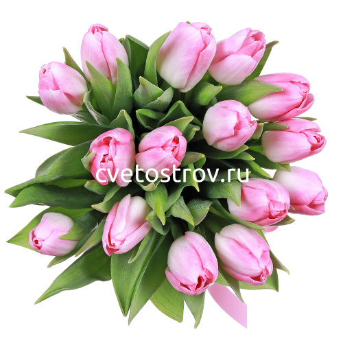 Букет из 15 розовых тюльпанов