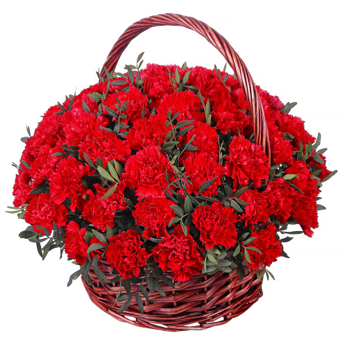 Корзина из 50 одноголовых гвоздик