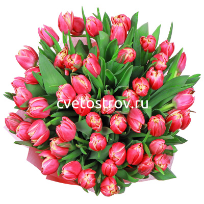 Букет из 51 тюльпана "Колумбус"