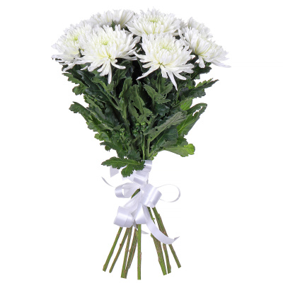 Хризантема одноголовая Антонов (Antonov) (75 см.) 11 штук