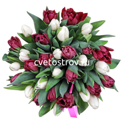 Букет из 35 тюльпанов "Супер"