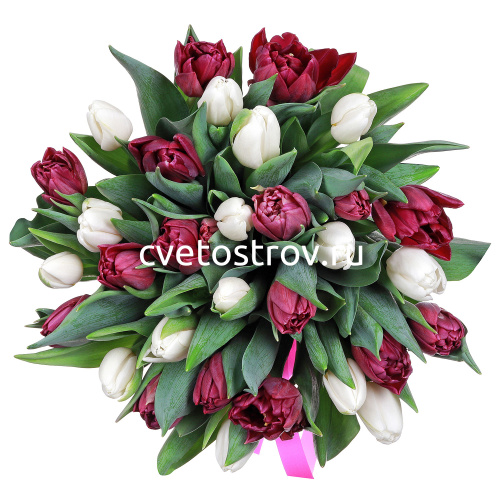 Букет из 35 тюльпанов "Супер"