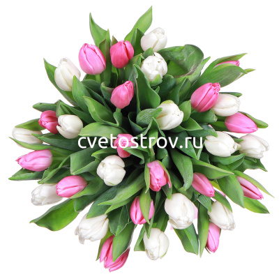 Букет из 31 тюльпана "Нежность"