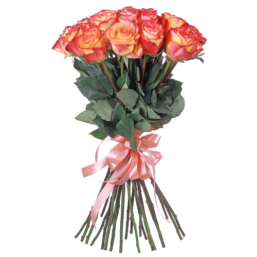 Букет из 51 розы Хай Меджик (High Magic)