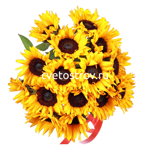 Букет из 15 подсолнухов
