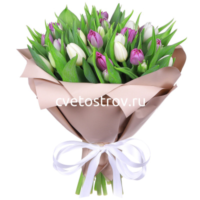 Букет из 25 тюльпанов "Нежность"