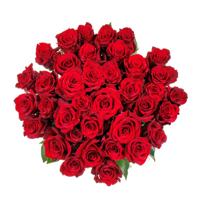 Букет из 35 роз "Фридом" 40 см