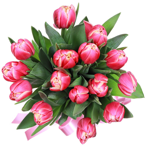 Тюльпаны 15 штук "Колумбус"