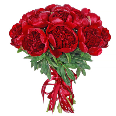 Пионы Ред Шарм (Red Charm) 11 штук