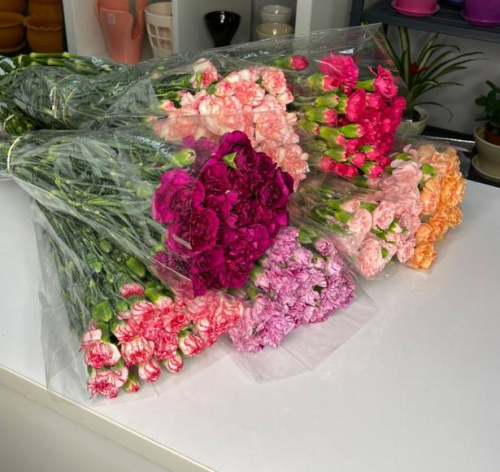 Гвоздика кустовая в ассортименте