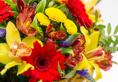 Композиция "Ясень"