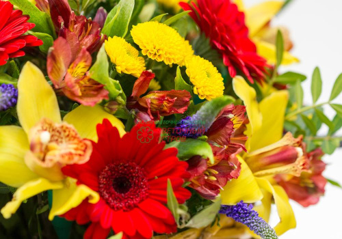 Композиция "Ясень"