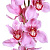 Орхидея розовая 80 см