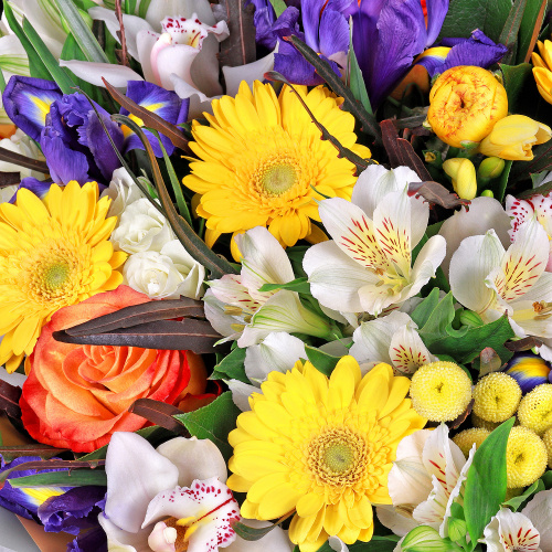 Букет «Контраст»