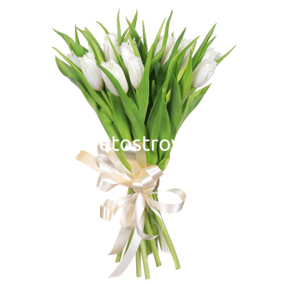 Букет из 17 белых тюльпанов мохровых