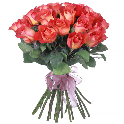 Роза " Кофе Брейк" 40см