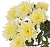 Хризантема кустовая Балтика Крем (Baltica Cream)