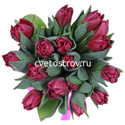 Букет из 15 тюльпанов "Дабл Принцесс"