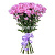 Хризантема кустовая Балтика (Baltica) розовая 15 штук