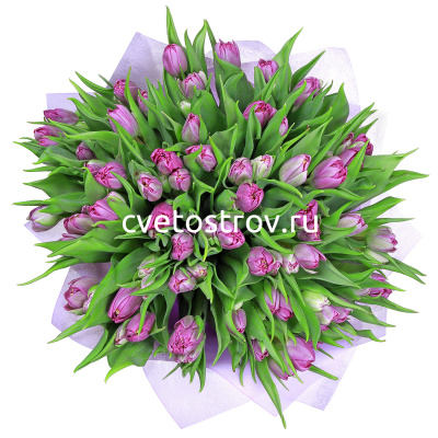 Букет из 51 тюльпанов "Принцесса"