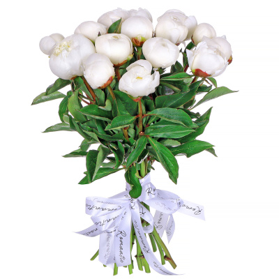 Пионы Дюшес де Немур (Duchesse de Nemours) 15 штук