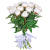 Пионы Дюшес де Немур (Duchesse de Nemours) 15 штук